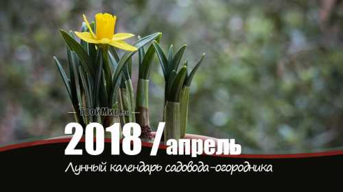 лунный календарь на сентябрь 2017 года